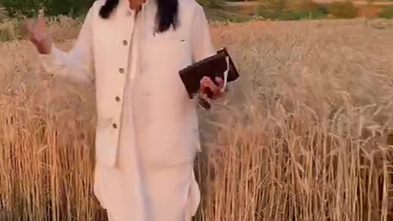 How to use wheat bread 🍞🍞😔