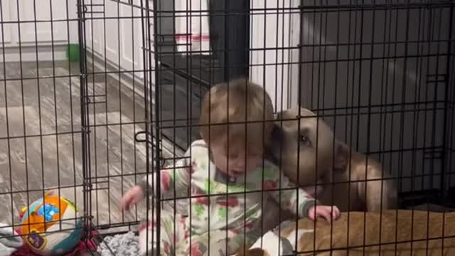 Just gonna scooch in right here #boysandtheirdogs #boys #boymom