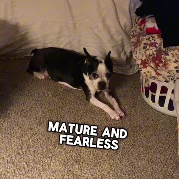 Difficult times make you wise