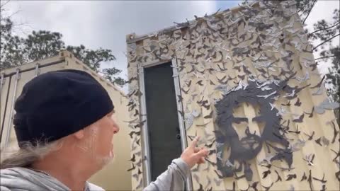 NIGHT UNDER THE STARS 1