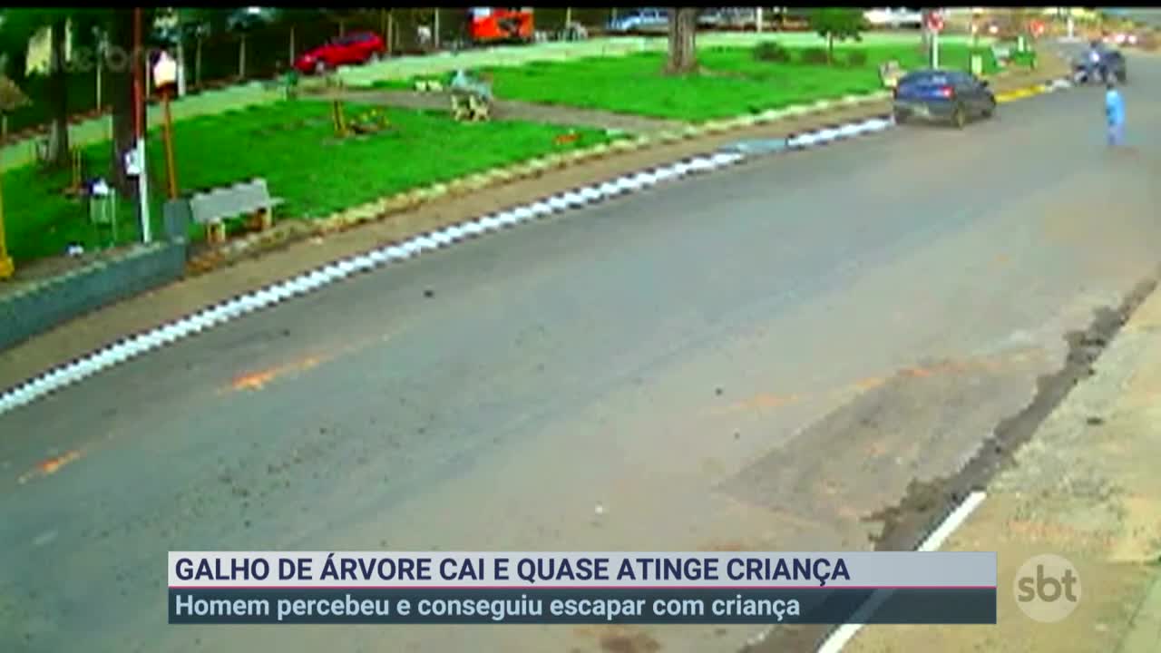 Galho de árvore gigante quase atinge criança em praça | Primeiro Impacto