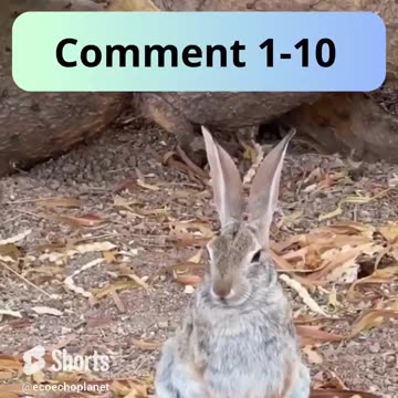 🤍🎧✨ASMR to Escape the Stress with a New Friend! Vol 176