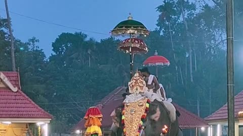 Elephant Malayaiam Kerala Temple Pooja