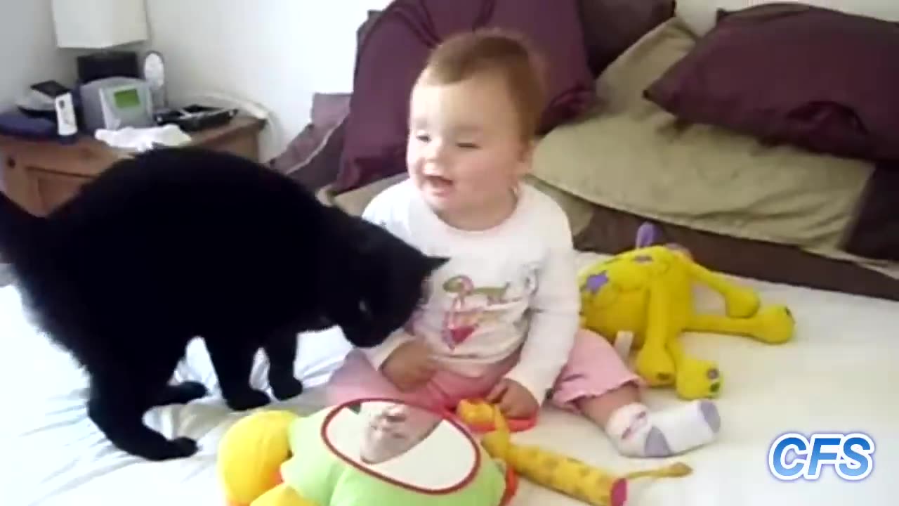 cat love with human baby