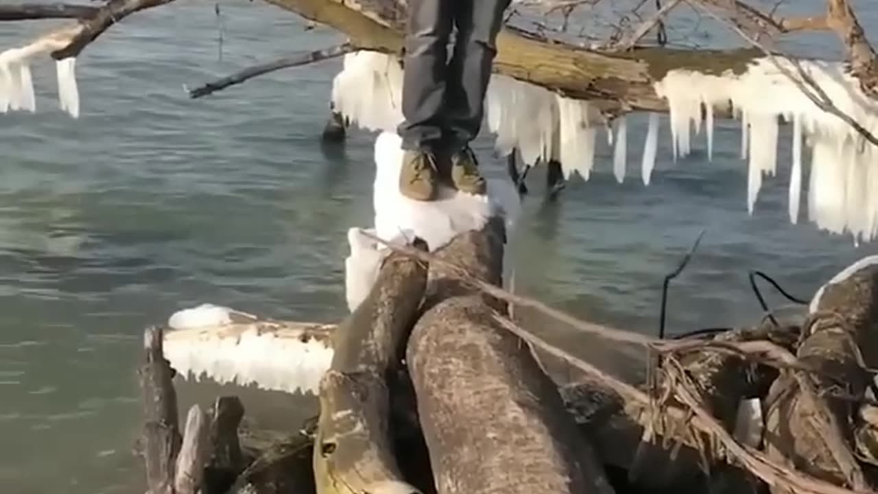 The End 😂😂#shorts#funny#viral#fails#humor