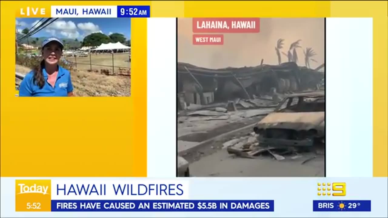 Hawaii fires