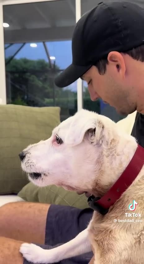 Idk what’s wrong with my dog, Molly. I think she’s a republican! 🤔