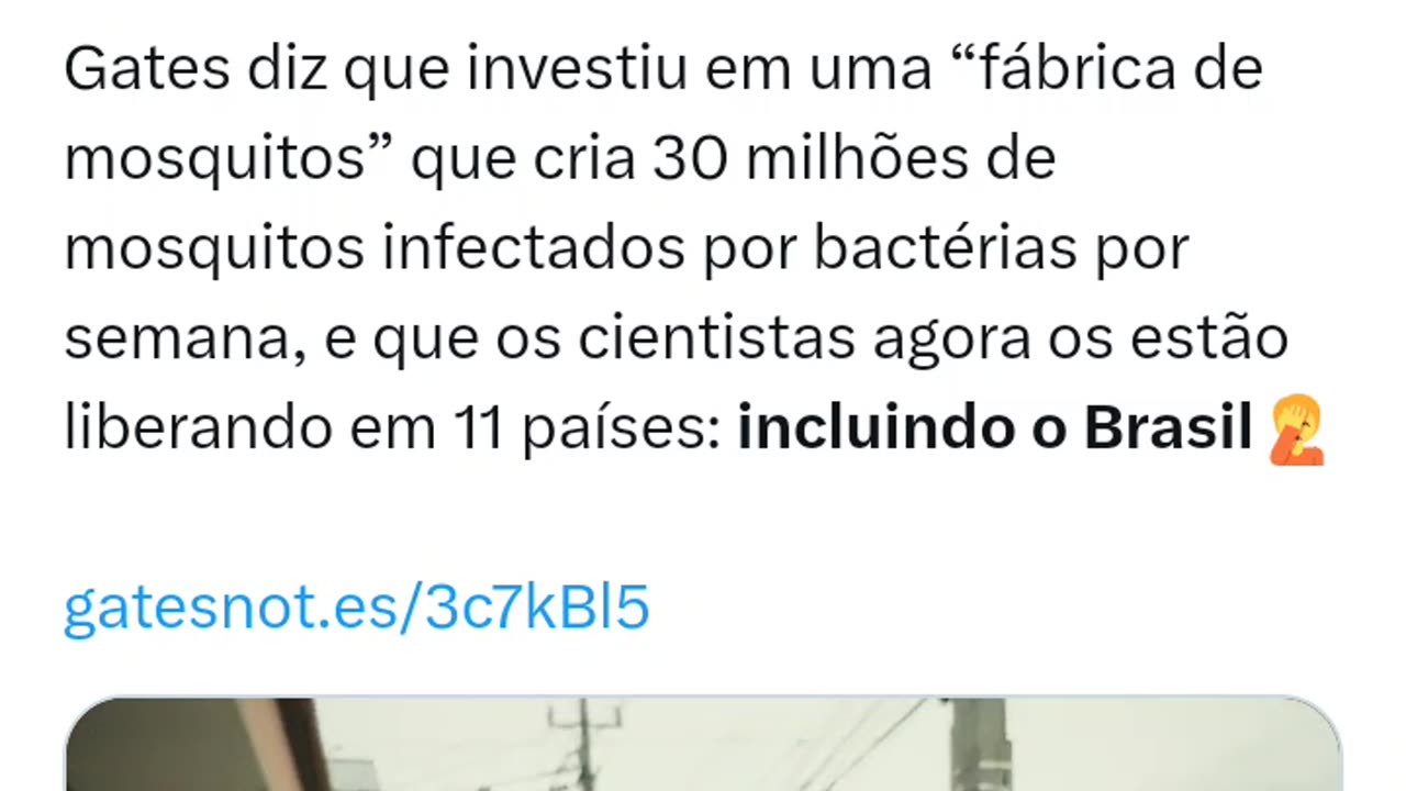 Gates e os mosquitos