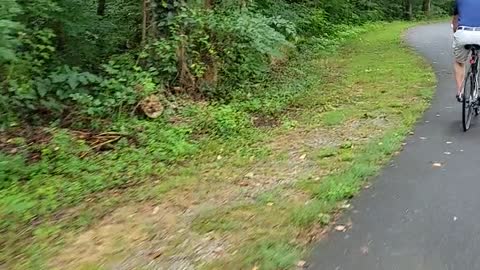 Biking Charlotte 3