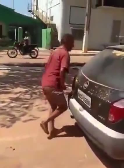 HIS SHEEP 🐑 WAS NOT AVAILABLE