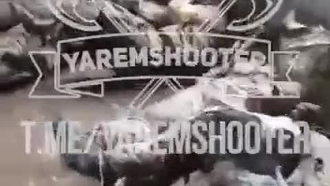 NATO - RUSSIA WAR SOLEDAR