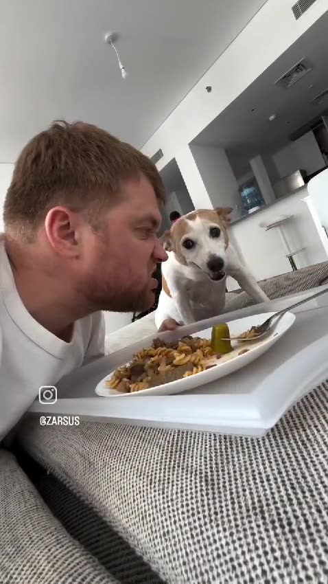 This hungry dog isn’t just looking for food... it’s ready for a mission! 😆🐾