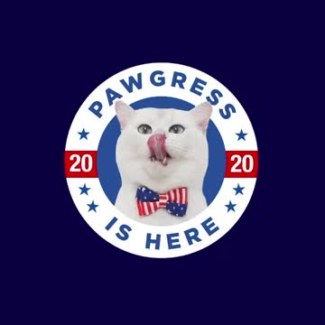 I’m Coby and I approve this message. Also, if you’re in the U.S. and are able to vote, please do it.