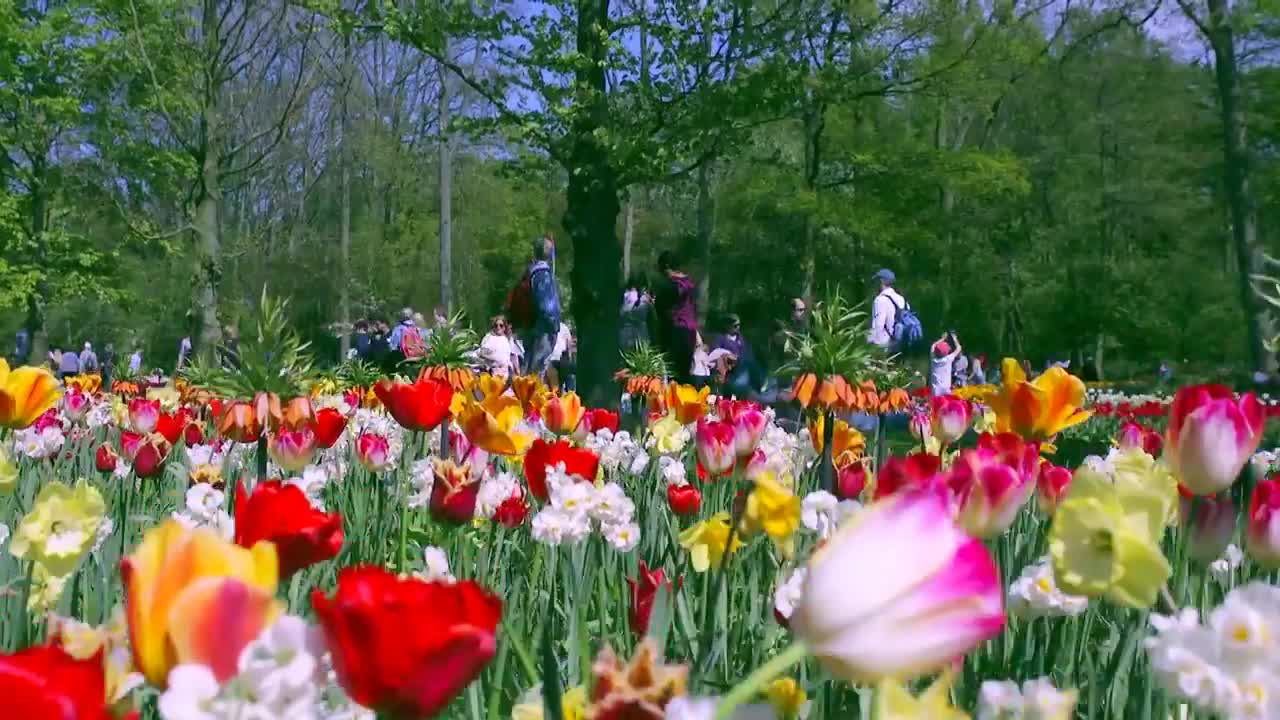 Dutch Food Concepts @Keukenhof