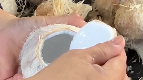 Coconut 🥥🥥🥥🥥🥥🥥
