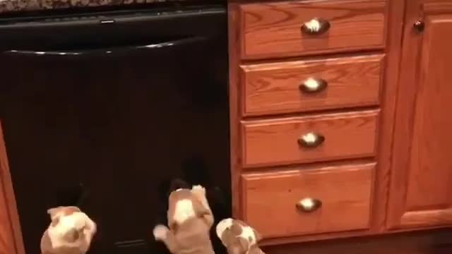 Eh, there seems to be a me inside