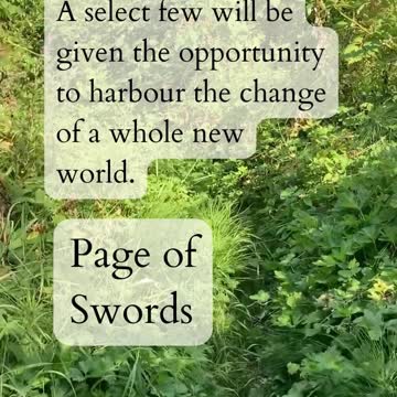 Hierophant to Page of Swords 2022-10-11