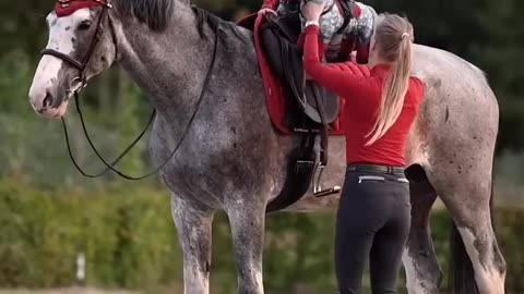 So sweet horse and baby with toy horse