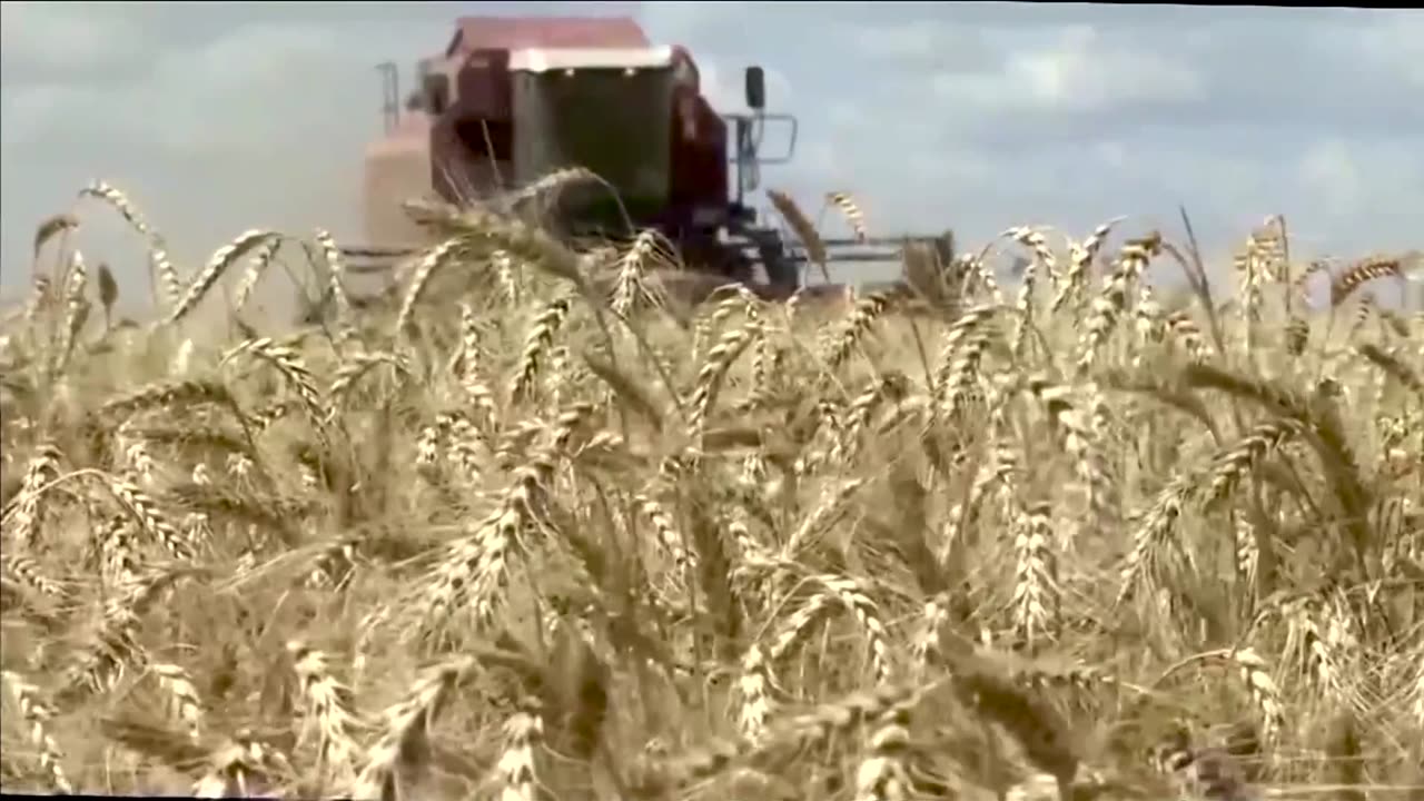 EU slams Poland, Hungary for Ukraine grain bans