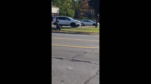 Cowboy with Sword in Westland