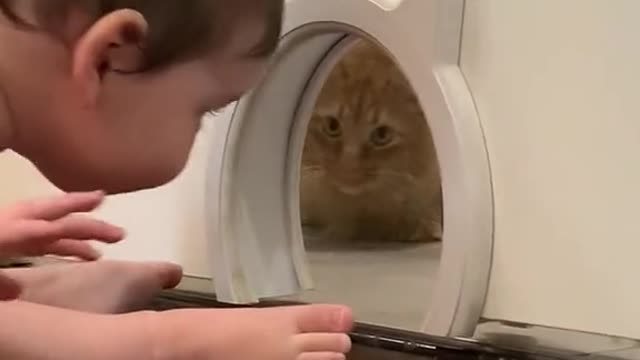 an adorable baby playing hide and seek with cat