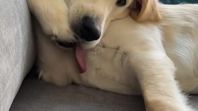My fluffy boy 🤪🤪