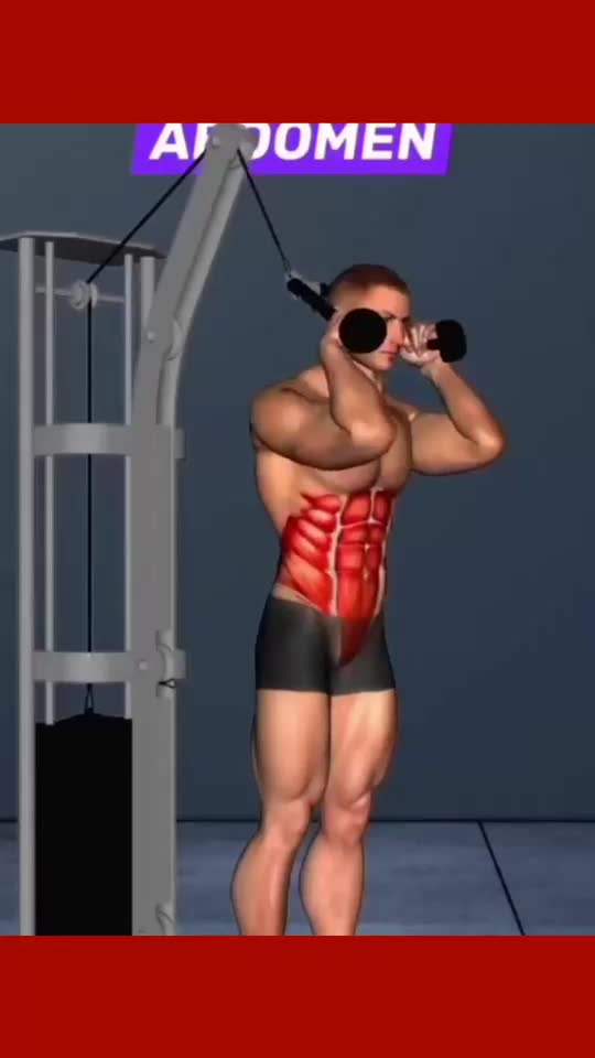 5 Effective Abdominal Workout Gym Exercises