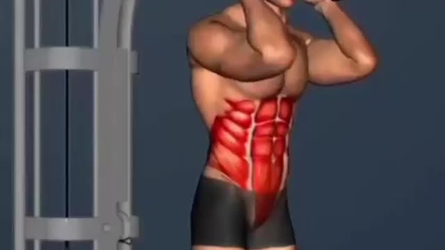 5 Effective Abdominal Workout Gym Exercises