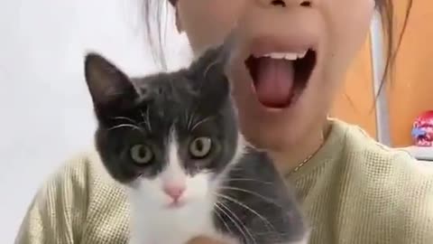 This is so funny 𝐓𝐚𝐠 𝐚 𝐟𝐫𝐢𝐞𝐧𝐝 𝐭𝐡𝐚𝐭 𝐰𝐨𝐮𝐥𝐝 𝐥𝐨𝐯𝐞 𝐭𝐡𝐢𝐬 | Funny Cat