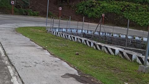 1st long ride