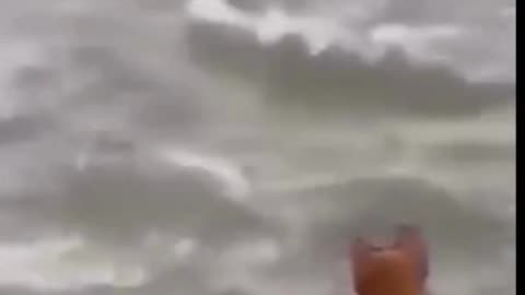 funny video