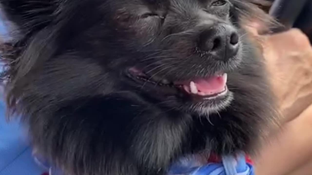 Enjoying "The Ride"!