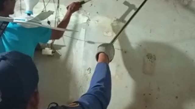 Giant Snake Falls Through Ceiling Towards Firefighters