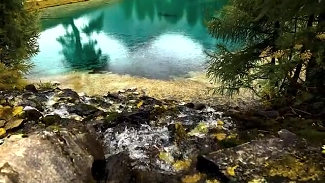 Nature