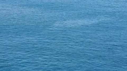 Relaxing Music | Sleeping, Meditation, Stress Relief | [1559] ⭐️