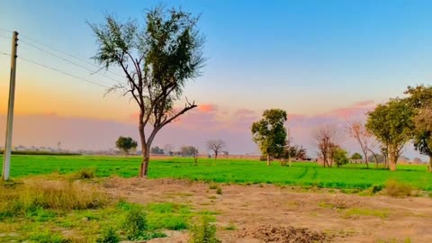 Beautiful Nature 🤩