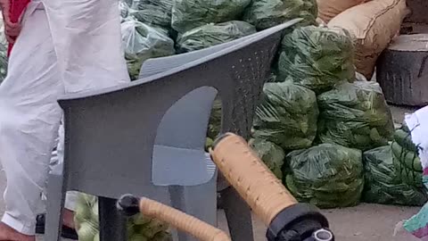Funny video