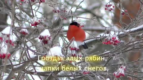 "Ruski Mir" ("Russian Word", or "Russian Peace")-song