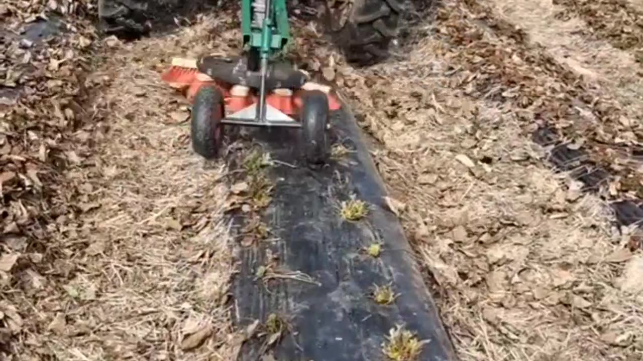 CRC vídeos curiosos