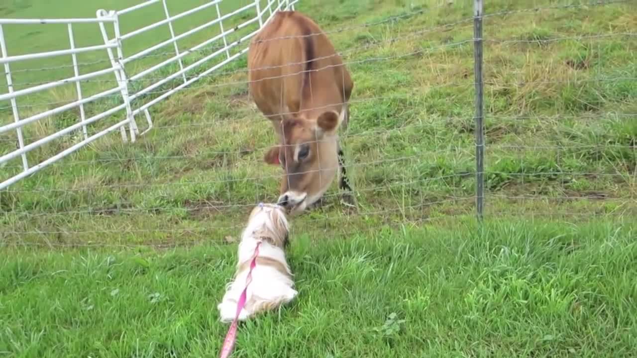 It's The Little Things (Vlogust / August 28, 2013)