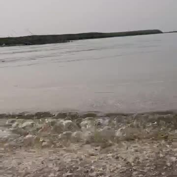 The Shoreline with Ultra Clear Water