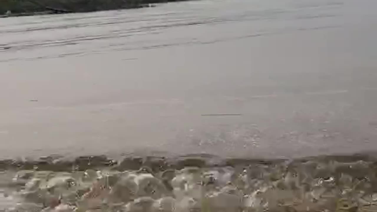 The Shoreline with Ultra Clear Water