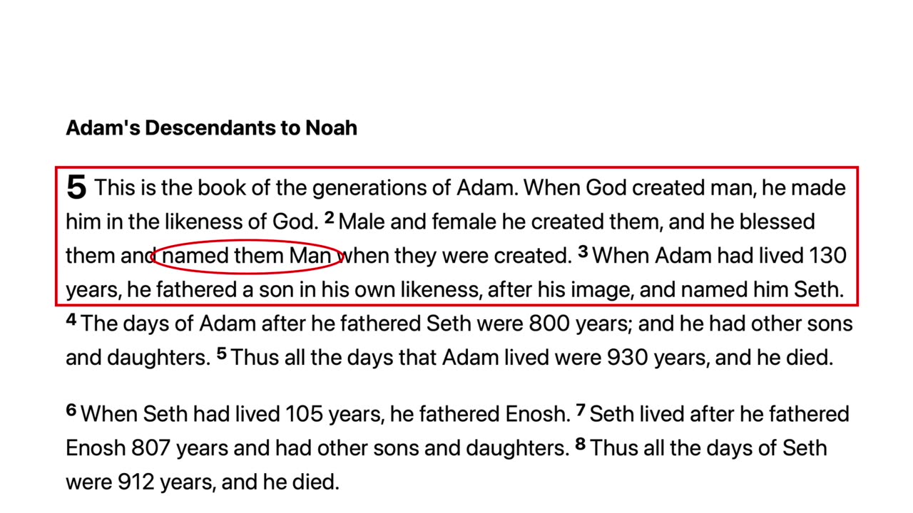 How an Unborn Baby Explains the Trinity