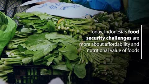 Food Security in Indonesia