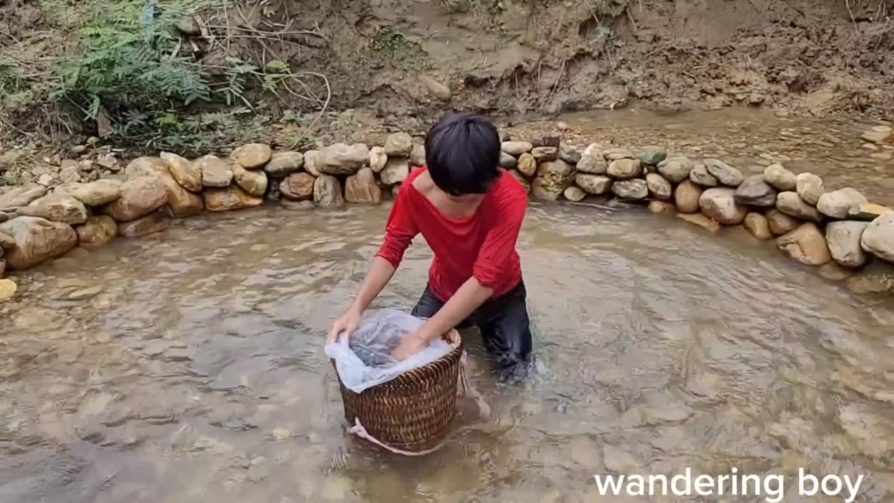 How to set a fish trap Fish trap in the stream