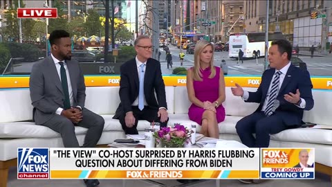 'View' host admits Kamala Harris flubbed 'layup' question 'It wasn't a gotcha question'