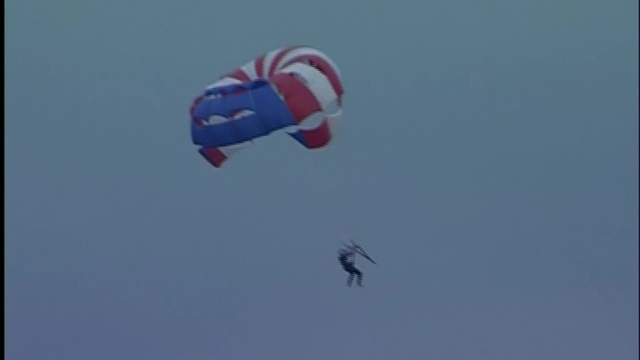 2006 PLWSA Highlights