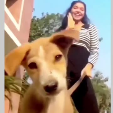 Funny moments with my dog #16