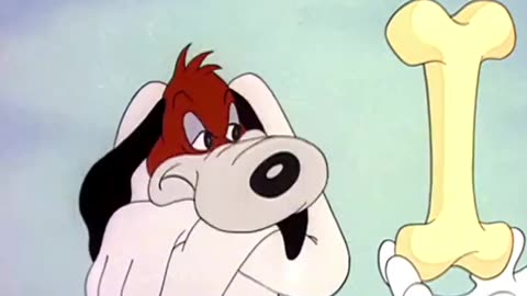 Droopy catches A fox looney Tunes