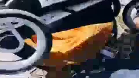 Best Titok Videos
